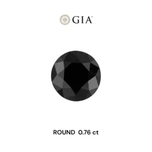 0.76 Carat Round Fancy Black VVS2 Natural Diamond