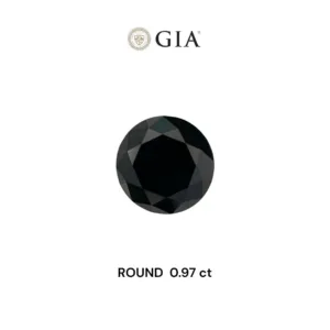 0.97 Carat Round Fancy Black VVS2 Natural Diamond
