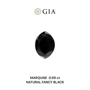 0.99 Carat Marquise Fancy Black VVS2 Natural Diamond