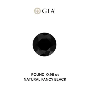 0.99 Carat Round Fancy Black VVS2 Natural Diamond