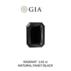 1.01 Carat Radiant Fancy Black VVS2 Natural Diamond