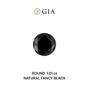 1.01 Carat Round Fancy Black VVS2 Natural Diamond