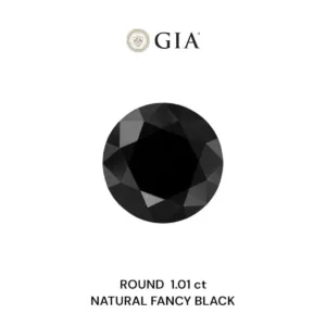 1.01 Carat Round Fancy Black VVS2 Natural Diamond