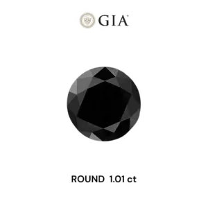 1.01 Carat Round Fancy Black VVS2 Natural Diamond