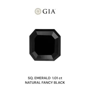 1.01 Carat Square Emerald Fancy Black VVS2 Natural Diamond