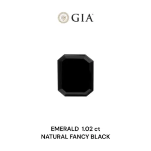 1.02 Carat Emerald Fancy Black VVS2 Natural Diamond