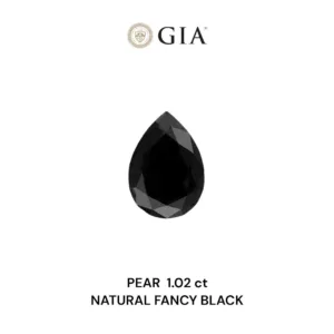 1.02 Carat Pear Fancy Black VVS2 Natural Diamond