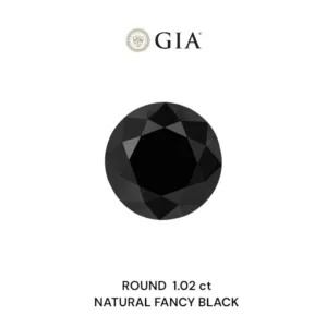 1.02 Carat Round Fancy Black VVS2 Natural Diamond
