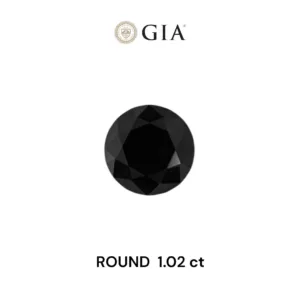 1.02 Carat Round Fancy Black VVS2 Natural Diamond