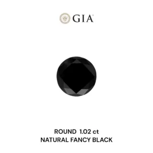 1.02 Carat Round Fancy Black VVS2 Natural Diamond