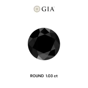 1.03 Carat Round Fancy Black VVS2 Natural Diamond