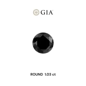1.03 Carat Round Fancy Black VVS2 Natural Diamond