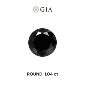 1.04 Carat Round Fancy Black VVS2 Natural Diamond