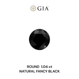1.04 Carat Round Fancy Black VVS2 Natural Diamond