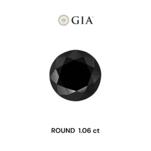 1.06 Carat Round Fancy Black VVS2 Natural Diamond