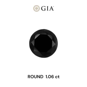 1.06 Carat Round Fancy Black VVS2 Natural Diamond