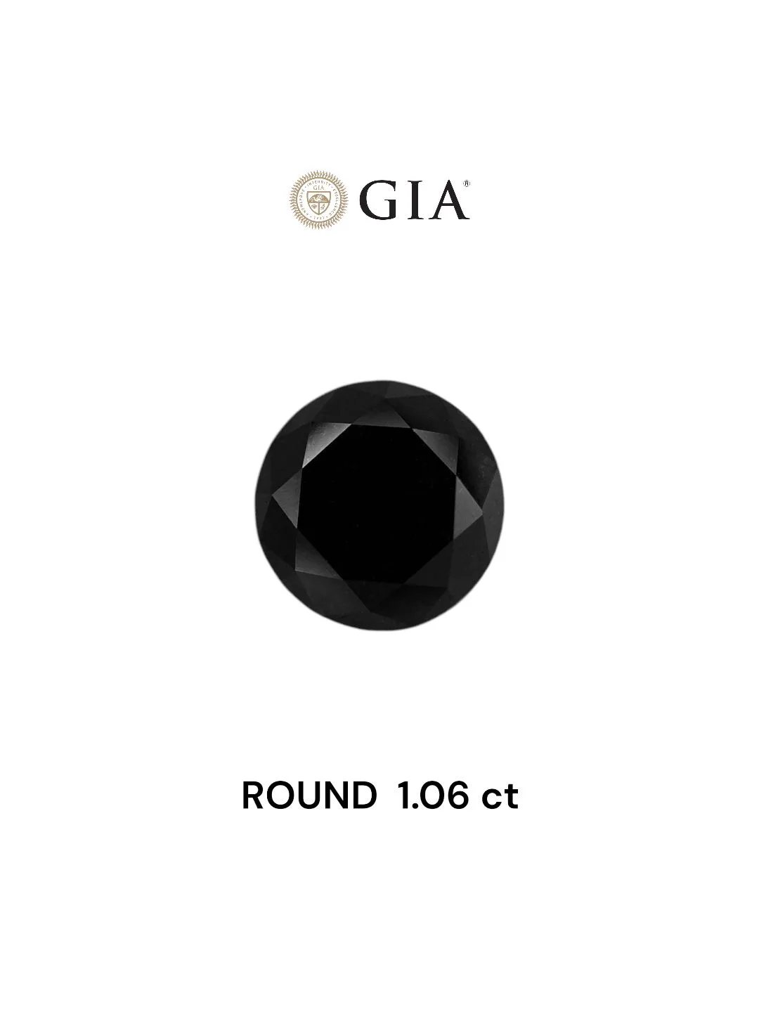 1.06 Carat Round Fancy Black VVS2 Natural Diamond 1 1.06 Carat Round Fancy Black VVS2 Natural Diamond