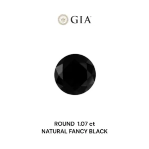 1.07 Carat Round Fancy Black VVS2 Natural Diamond