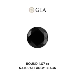 1.07 Carat Round Fancy Black VVS2 Natural Diamond