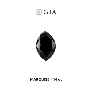 1.14 Carat Marquise Fancy Black VVS2 Natural Diamond