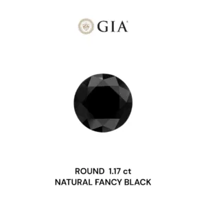 1.17 Carat Round Fancy Black VVS2 Natural Diamond