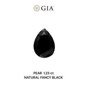 1.23 Carat Pear Fancy Black VVS2 Natural Diamond
