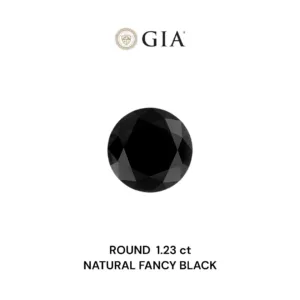 1.23 Carat Round Fancy Black VVS2 Natural Diamond
