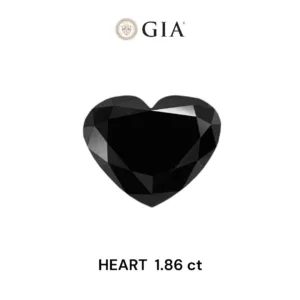 1.86 Carat Heart Fancy Black VVS2 Natural Diamond