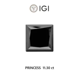 11.3 Carat Princess Black Natural Diamond