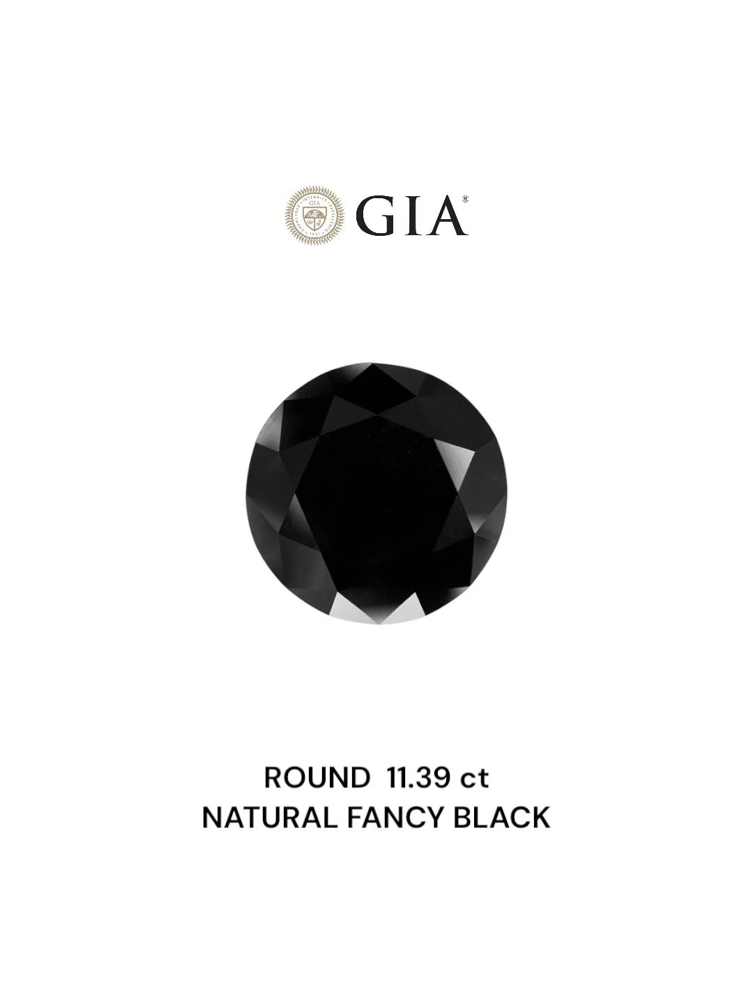 11.39 Carat Round Fancy Black VVS2 Natural Diamond 1 11.39 Carat Round Fancy Black VVS2 Natural Diamond