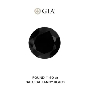 11.6 Carat Round Fancy Black VVS2 Natural Diamond