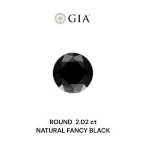 2.02 Carat Round Fancy Black VVS2 Natural Diamond