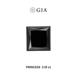 2.19 Carat Princess Fancy Black VVS2 Natural Diamond