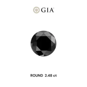 2.48 Carat Round Fancy Black VVS2 Natural Diamond