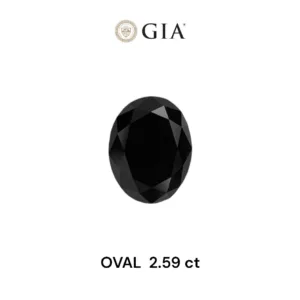 2.59 Carat Oval Fancy Black VVS2 Natural Diamond