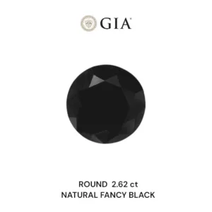 2.62 Carat Round Fancy Black VVS2 Natural Diamond
