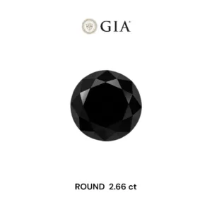 2.66 Carat Round Fancy Black VVS2 Natural Diamond
