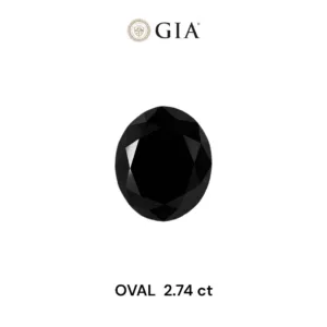 2.74 Carat Oval Fancy Black VVS2 Natural Diamond