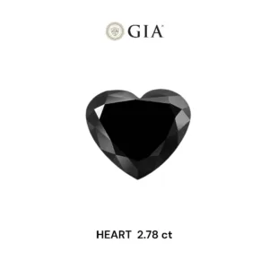 2.78 Carat Heart Fancy Black VVS2 Natural Diamond