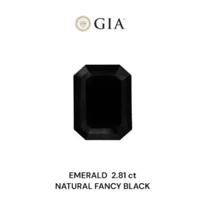 2.81 Carat Emerald Fancy Black VVS2 Natural Diamond
