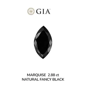 2.88 Carat Marquise Fancy Black VVS2 Natural Diamond