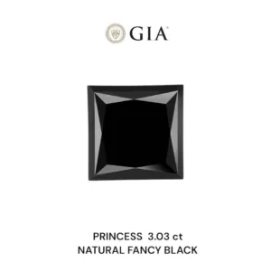 3.03 Carat Princess Fancy Black VVS2 Natural Diamond