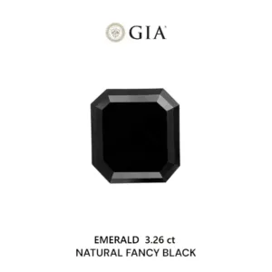 3.26 Carat Emerald Fancy Black VVS2 Natural Diamond