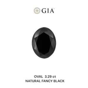 3.29 Carat Oval Fancy Black VVS2 Natural Diamond