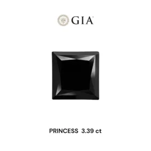 3.39 Carat Princess Fancy Black VVS2 Natural Diamond