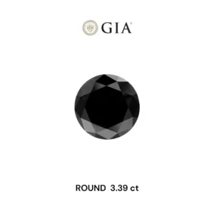 3.39 Carat Round Fancy Black VVS2 Natural Diamond