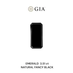 3.51 Carat Emerald Fancy Black VVS2 Natural Diamond