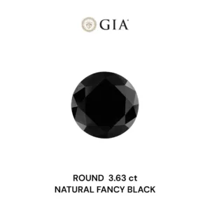 3.63 Carat Round Fancy Black VVS2 Natural Diamond