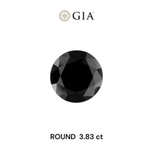 3.83 Carat Round Fancy Black VVS2 Natural Diamond