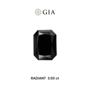 3.93 Carat Radiant Fancy Black VVS2 Natural Diamond